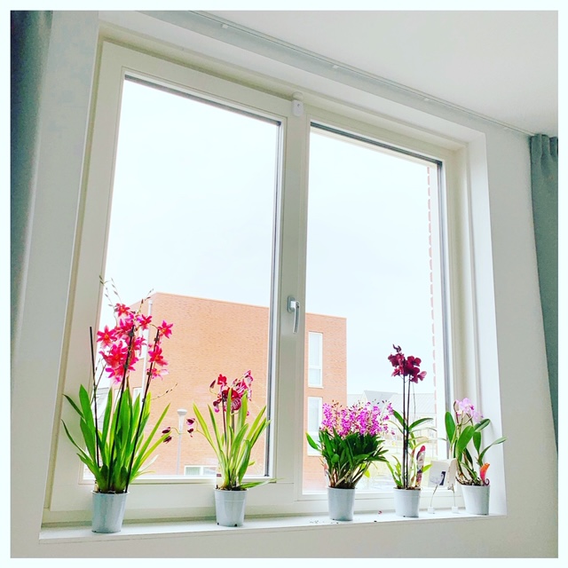 orchideen raam slaapkamer