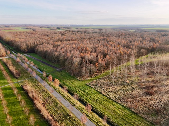 Bentwoud in benthuizen