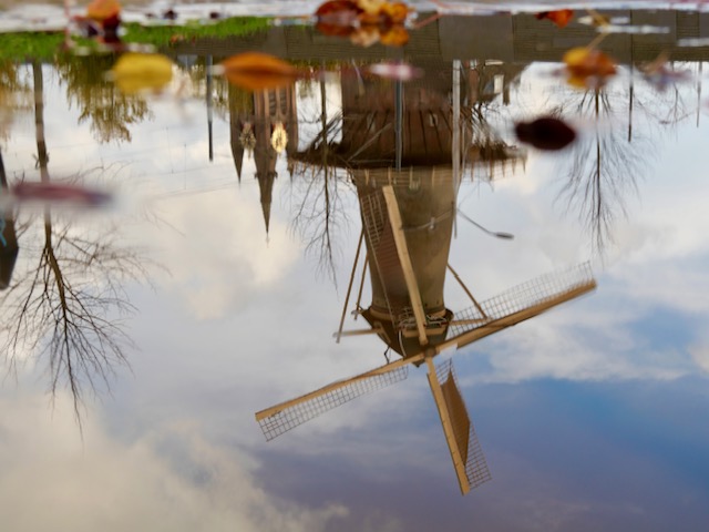 molen delft nov 2024