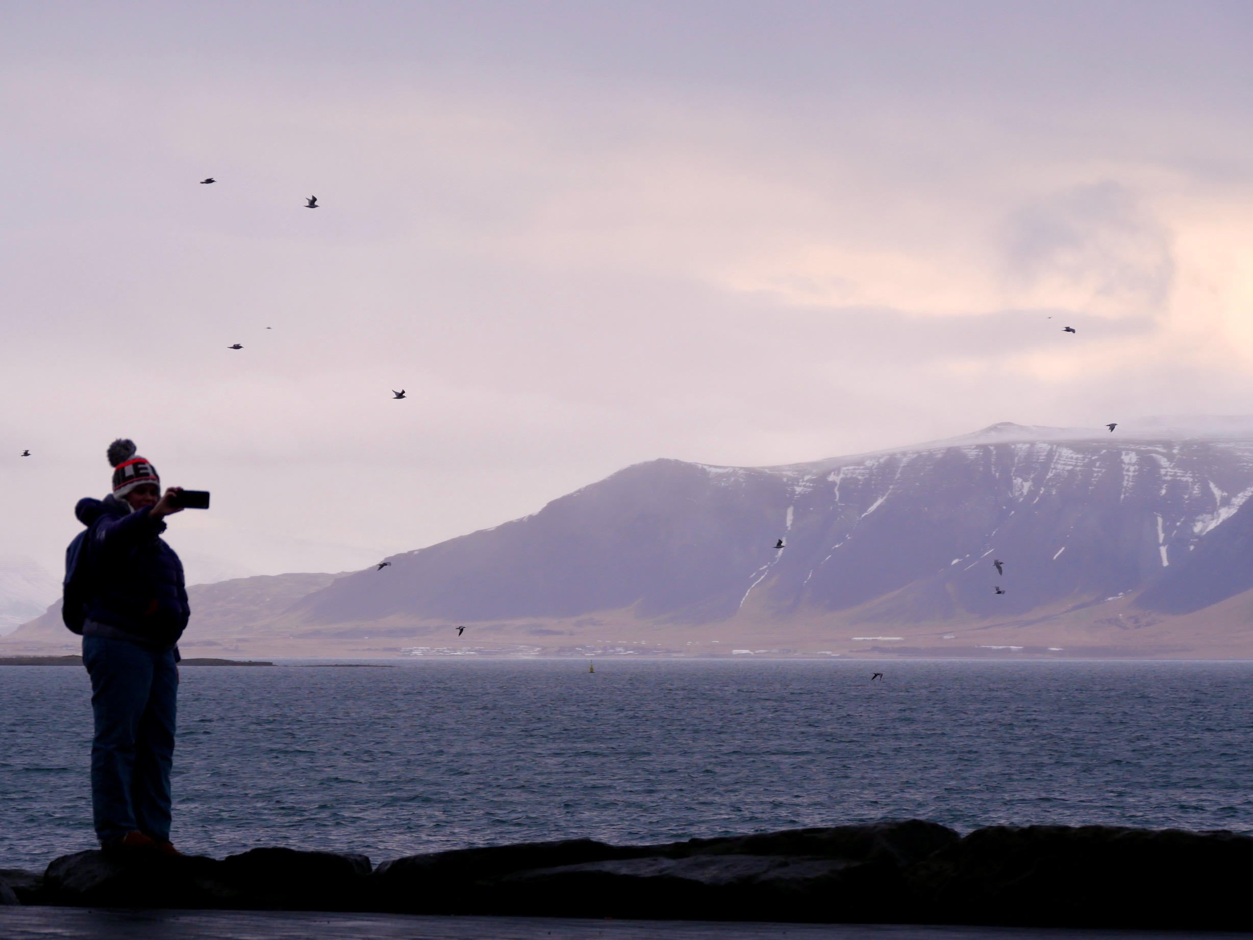 man fotografeert sun voyager reykjavik